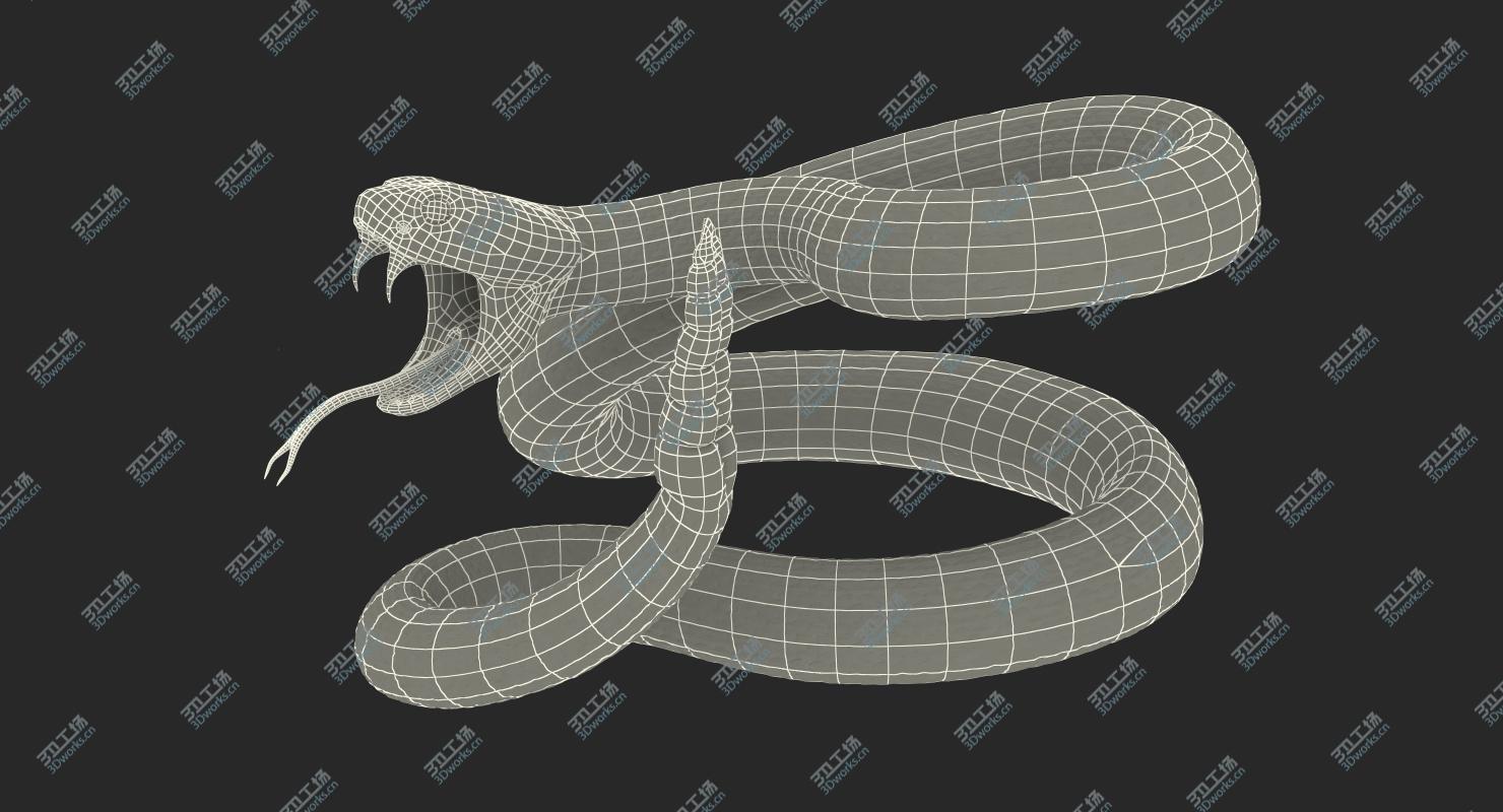 images/goods_img/202105072/3D model Dark Rattlesnake Attack Pose 3D Model/4.jpg